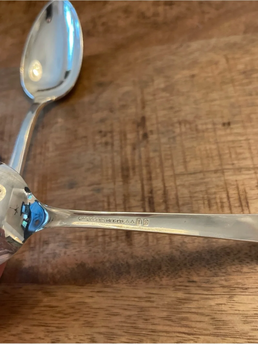 WM Rogers Terrace Table Spoons